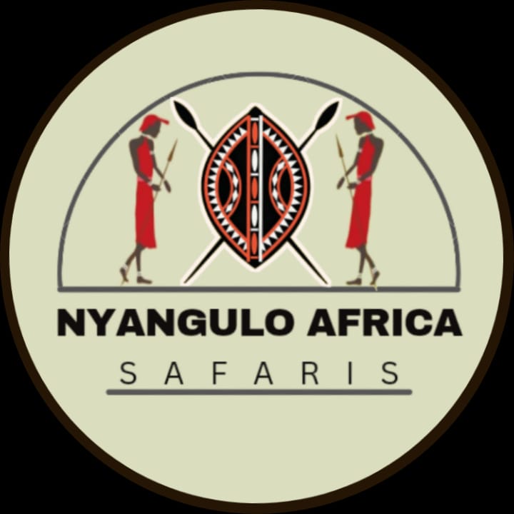 Nyangulo Africa Safaris
