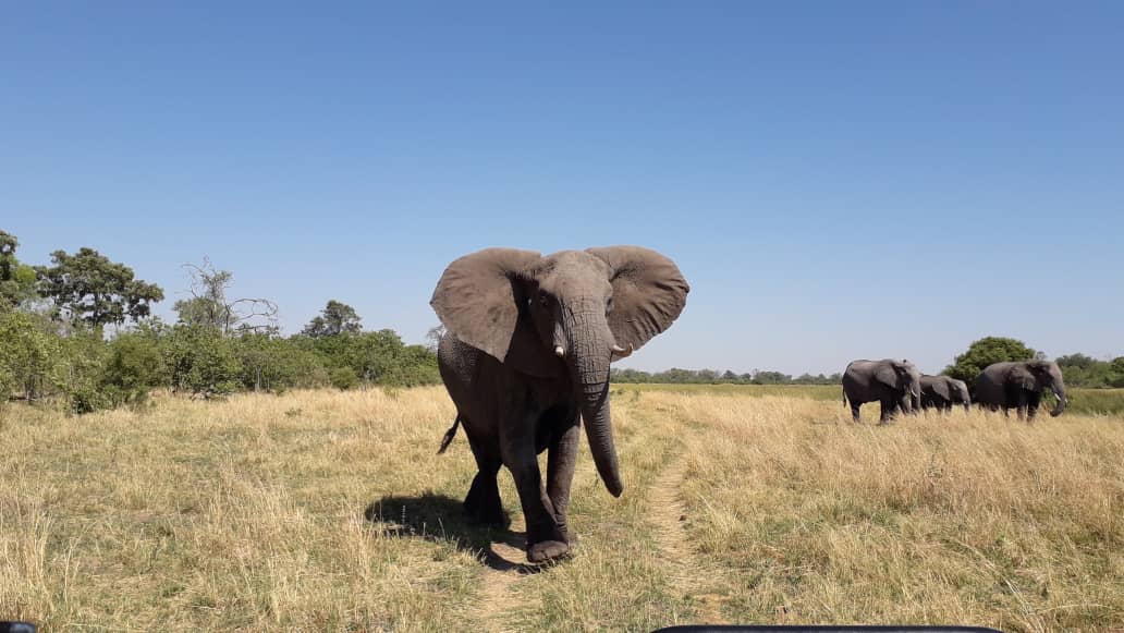Shipungo Safari & Tours gallery