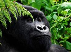 Oasis Safaris  gallery