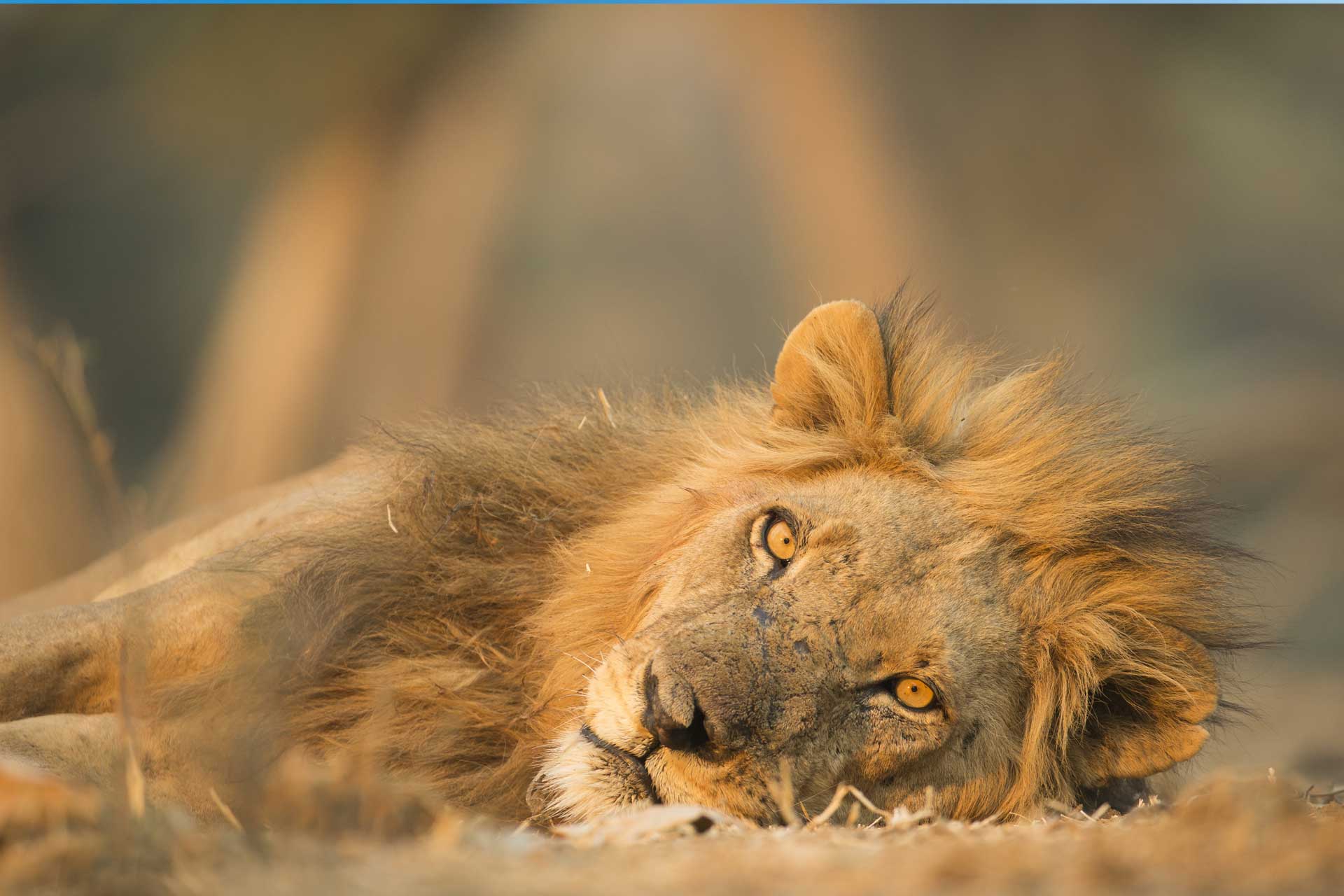 Sarafu Travel gallery
